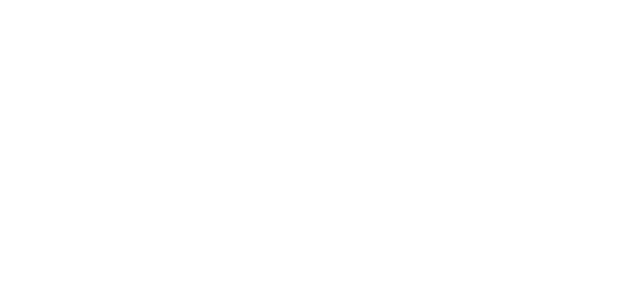 Wing Icon
