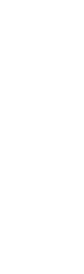 Wing Decoration